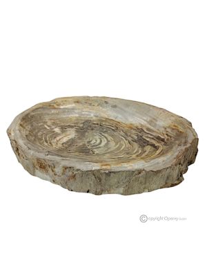 CENTRE DE TABLE en pierre de bois fossile élégant, résistant et décoratif, fait à la main.