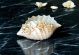 SHELL Décoration de centre de table artistique en céramique de style baroque avec détails en or 24 carats Fabriqué en Italie