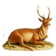 Figurine en porcelaine DEER Capodimonte, artisanat Made in Italy