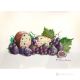 FIGUES ET PRUNES Peinture acrylique moderne sur toile Made in Italy 
